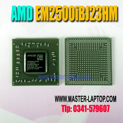 AMD EM2500iBJ23HM  large2
